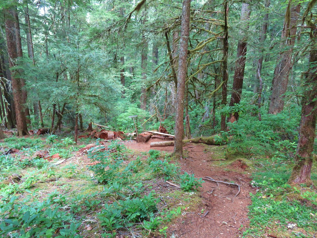 Breitenbush Cascades & Devil’s Ridge Trail 7/13/2019 wanderingyuncks