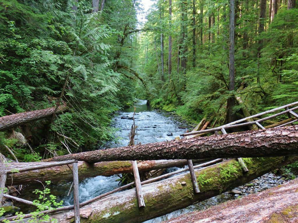 Breitenbush Cascades & Devil’s Ridge Trail 7/13/2019 wanderingyuncks