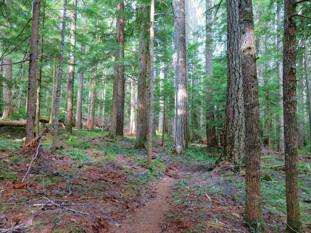 Breitenbush Cascades & Devil’s Ridge Trail 7/13/2019 wanderingyuncks