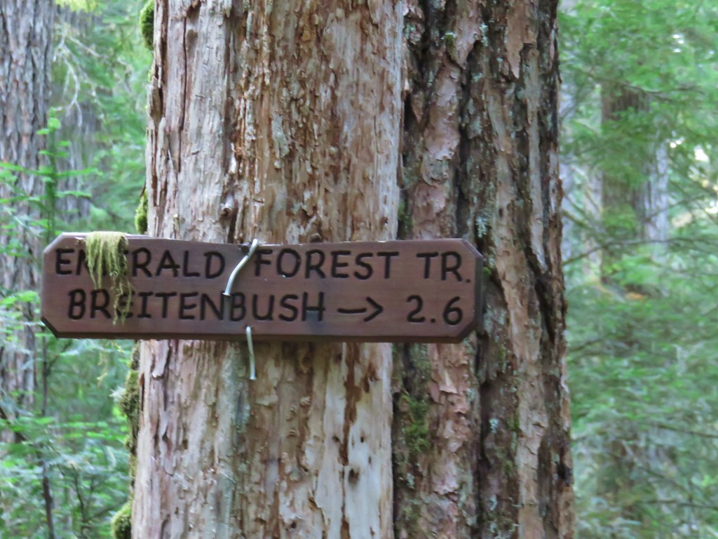 Breitenbush Cascades & Devil’s Ridge Trail 7/13/2019 wanderingyuncks