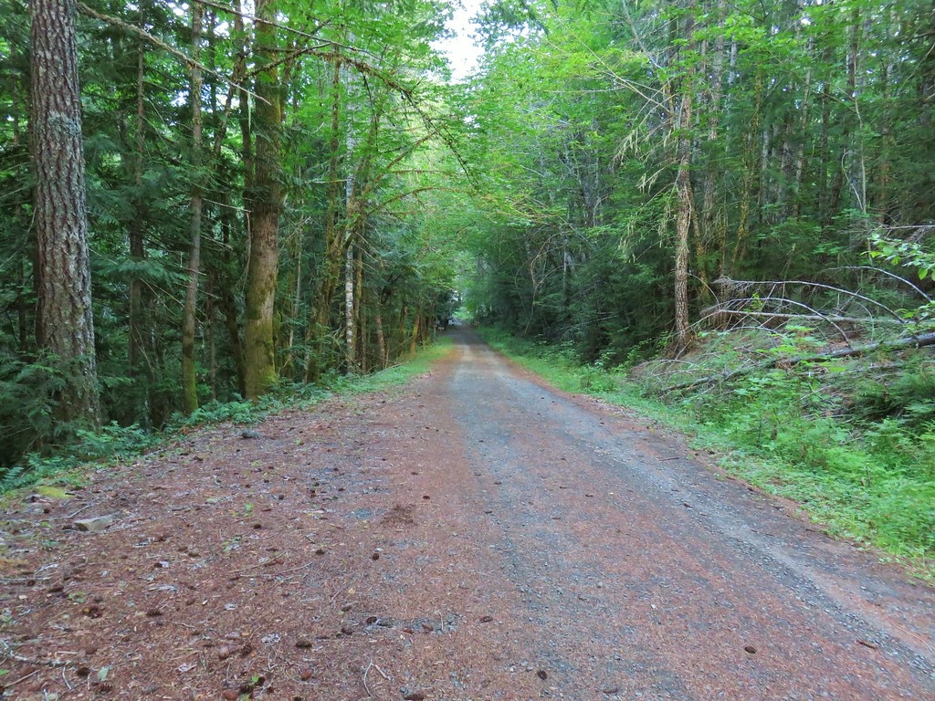 Breitenbush Cascades & Devil’s Ridge Trail 7/13/2019 wanderingyuncks