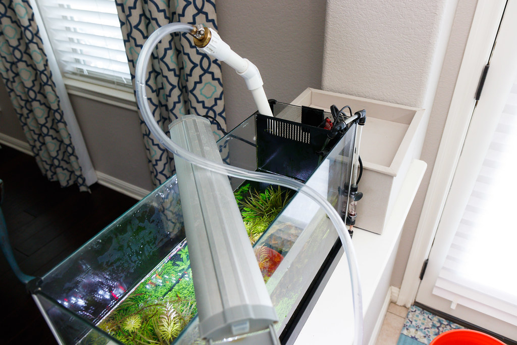 Aquarium Maintenance with Water Change Pump SpecTanks