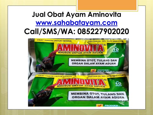 WA O852279O2O2O Terjamin Agen Obat Penambah Nafsu Makan … Flickr