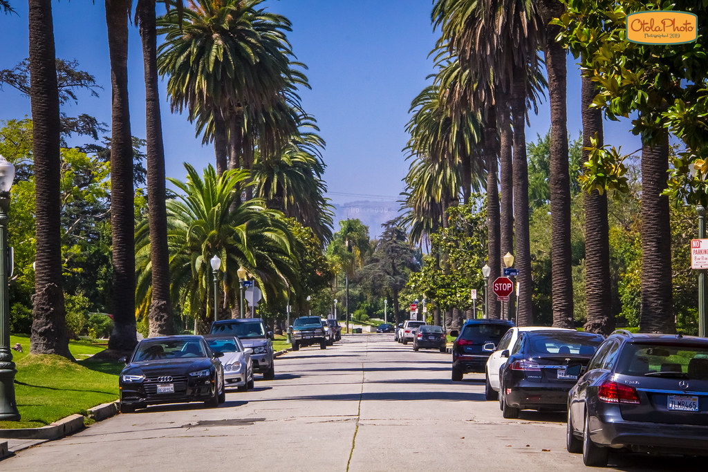 Windsor Square Neighborhood in Los Angeles. I was trying t… Flickr