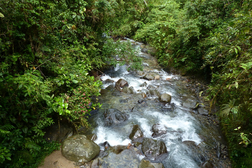Rio Claro, near Montezuma Lodge, Tatama National Park, Ris… Flickr