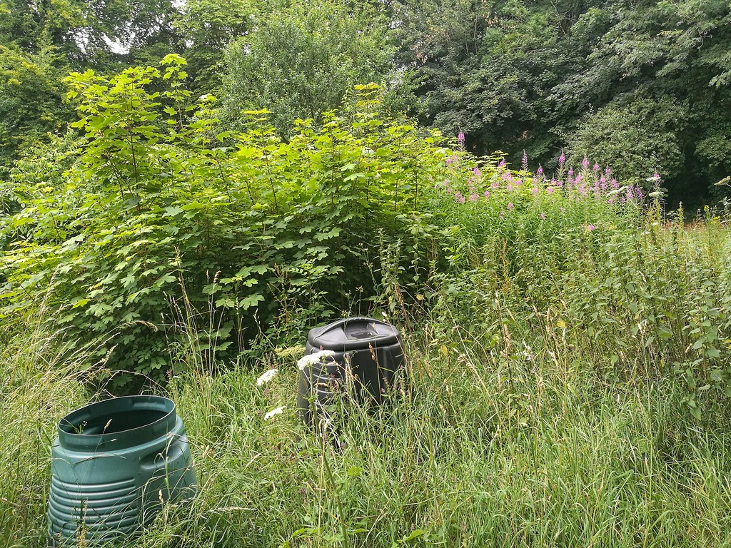 PBWA Chorleywood Dog Kennel Lane Allotments Ian Wood Flickr