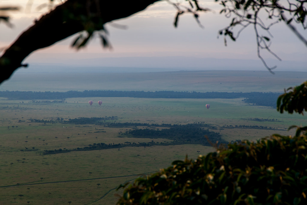 Mara June 2019 9 Weldon Kennedy Flickr