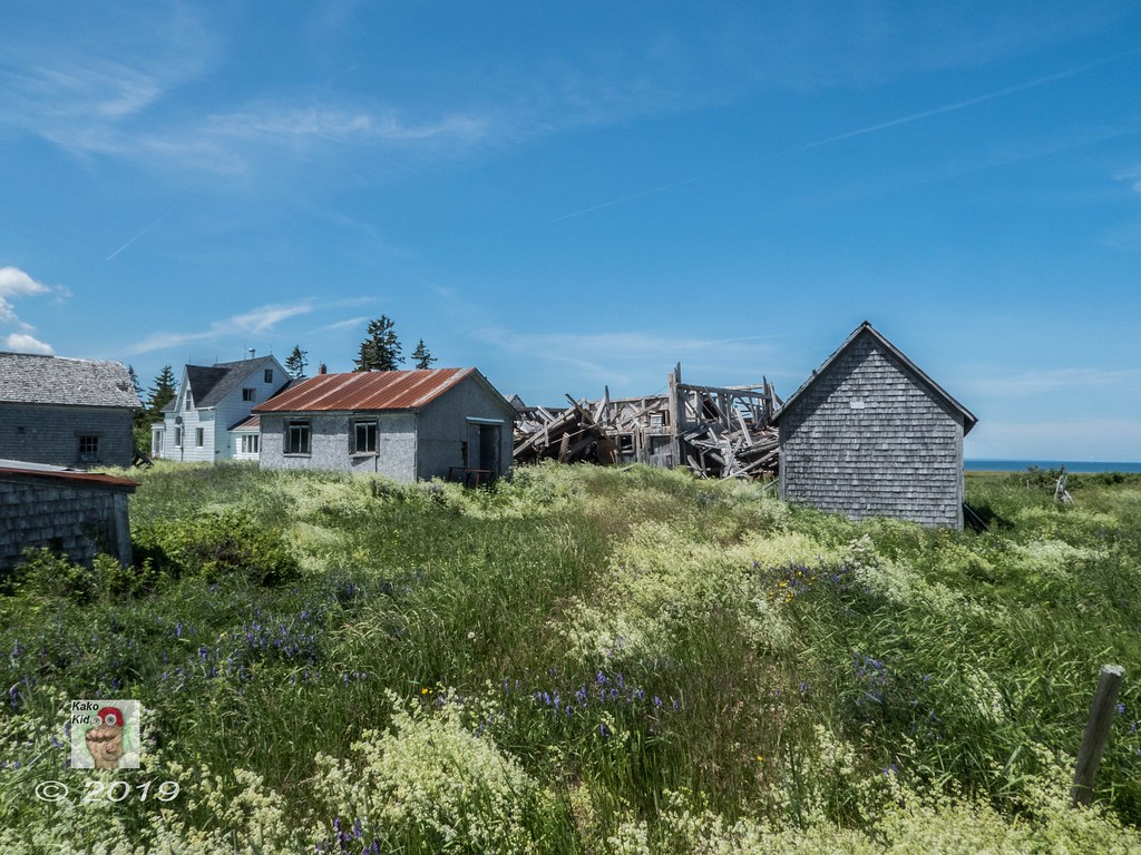 Abandoned farm in Janeville, NB Vieille ferme abandonnée… Flickr