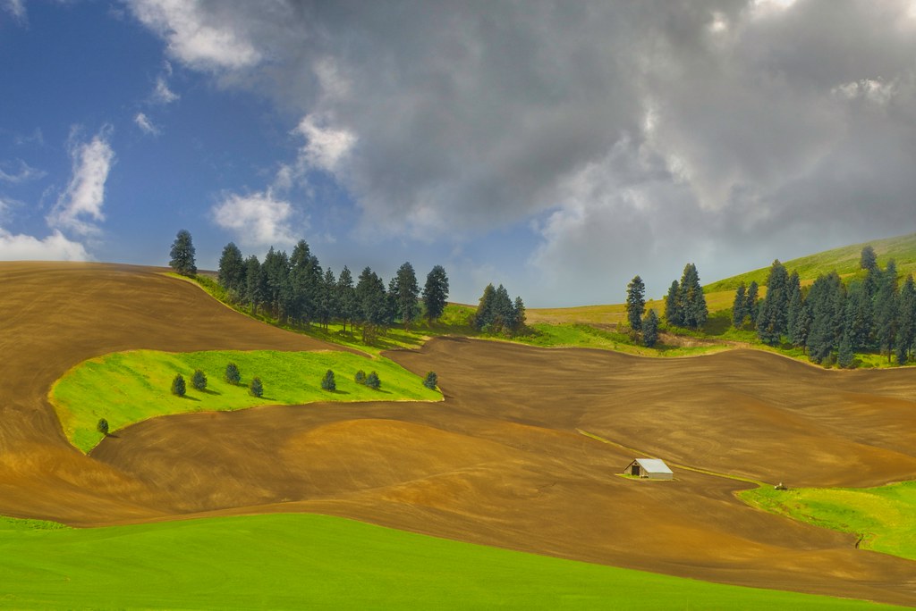 Palouse Hillside 5412 C Hillside in The Palouse west of Po… Flickr