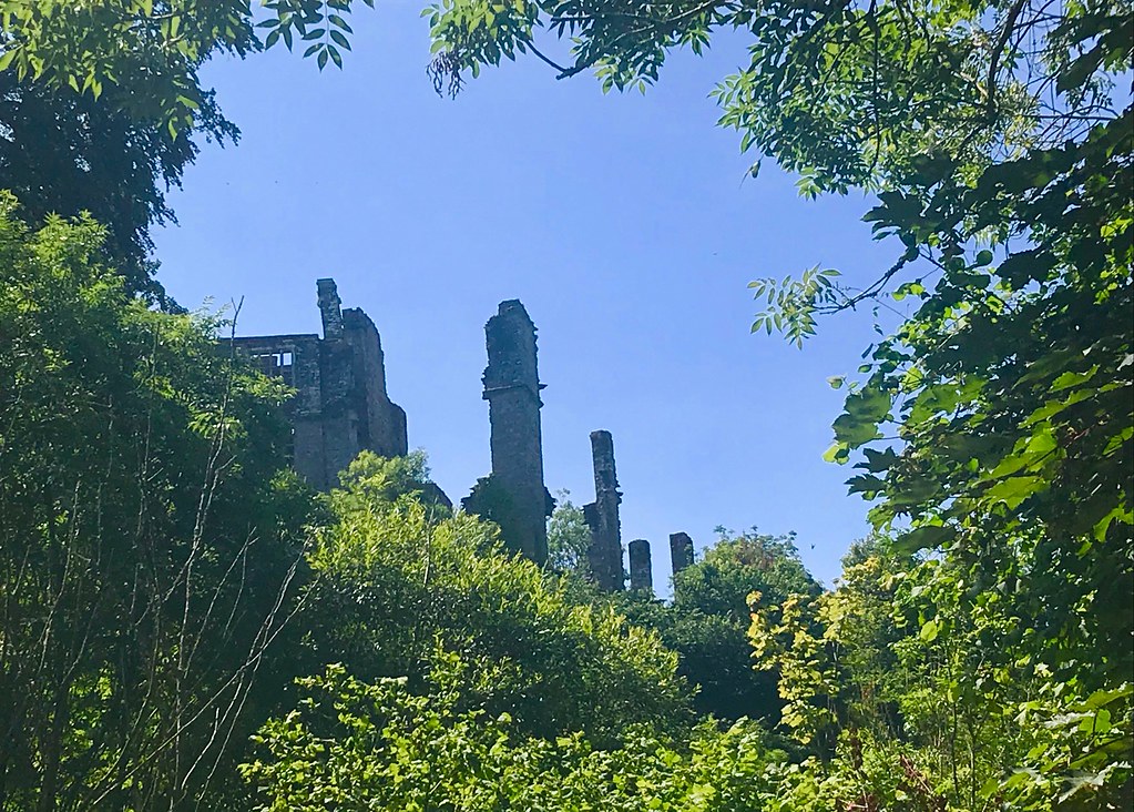 High Up Berry Pomeroy Castle taken from the road below Janey113