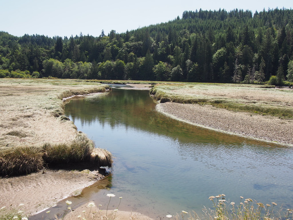 Tahuya River Delta Neil Hodges Flickr