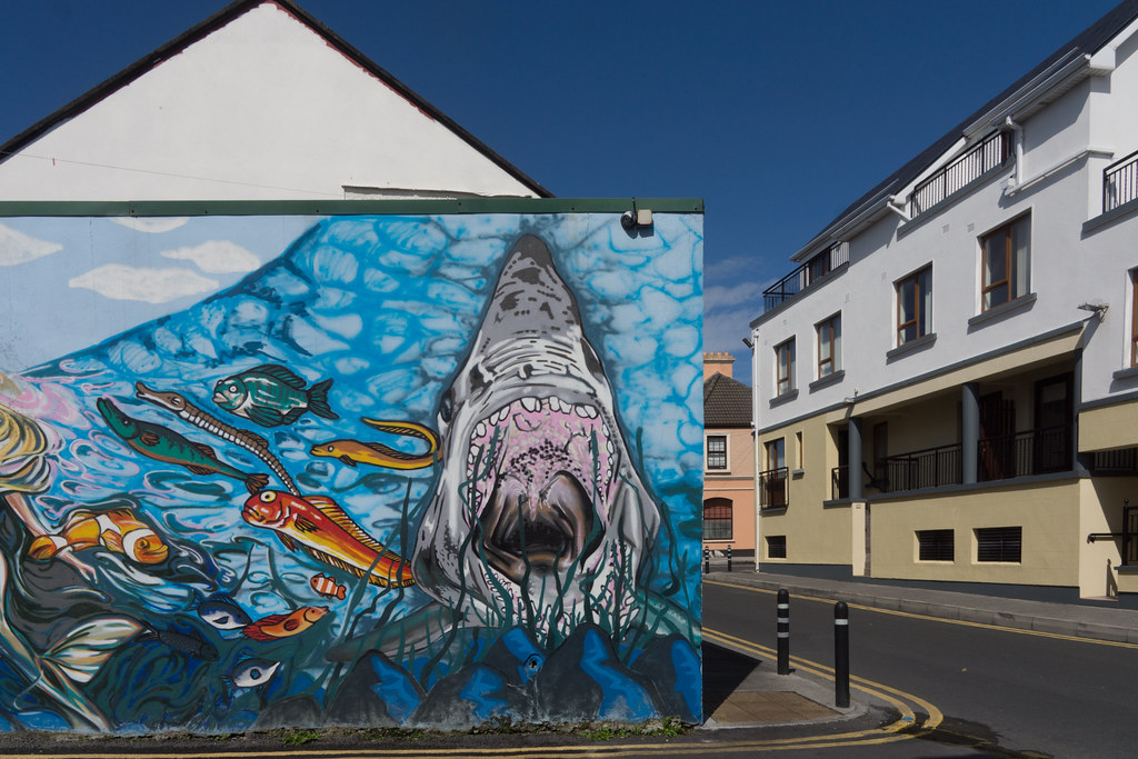 HOOKED FISH AND CHIP RESTAURANT [HENRY STREET GALWAY]1543… Flickr