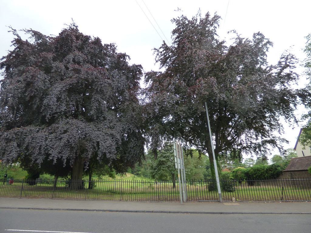 Mary Stevens Park, Stourbridge trees on Heath Lane Flickr