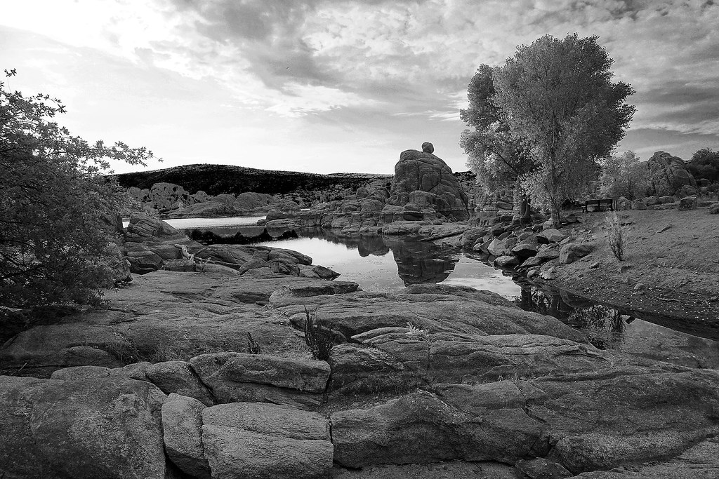 Watson Lake in July 2 (BW) Patricia Anderson Flickr
