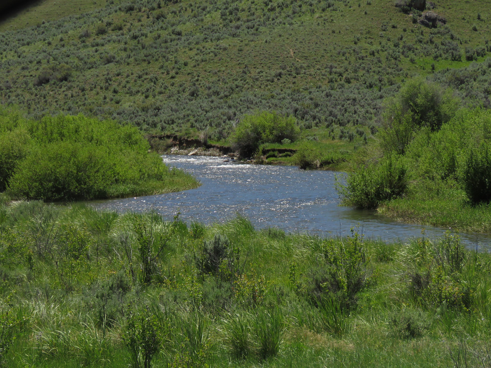 Owyhee River _ Duck Valley Indian Reservation south of Mou… Flickr