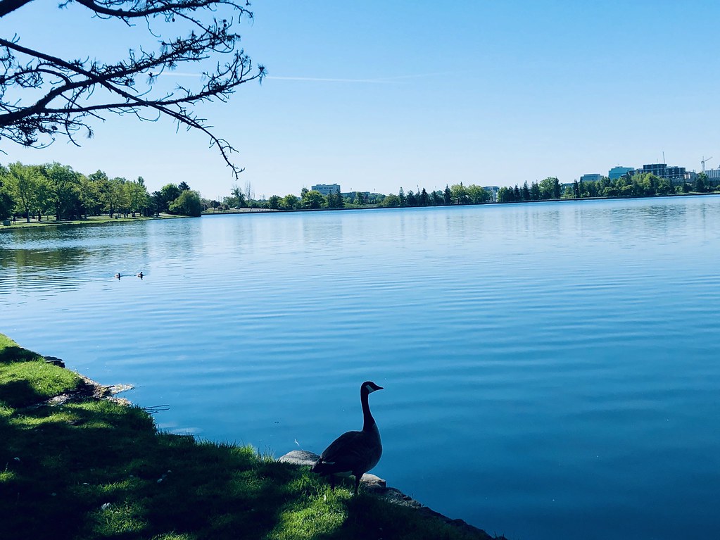 Dows lake, Ottawa MINH VIÊN Flickr