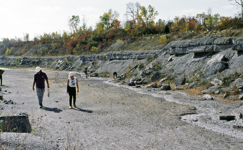 Silica Formation (Middle Devonian; Benchmark MaterialsFrance Stone