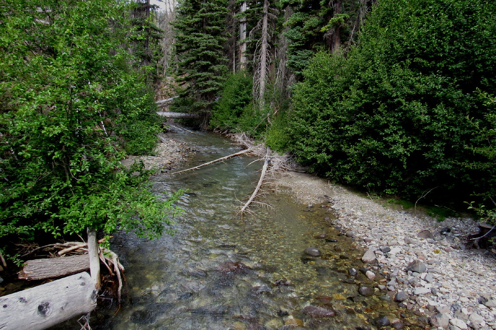 South Fork Tieton River at first Bridge Crossing Tuesday J… Flickr