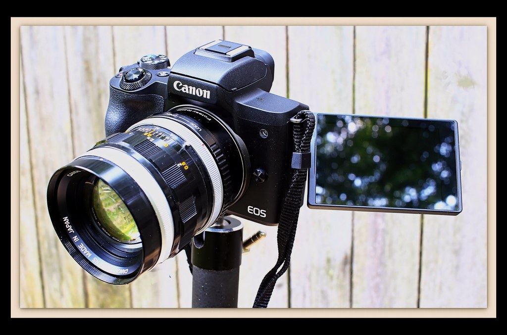 My New Vintage Lens Camera My new Canon EOS M50 mirrorless… Flickr