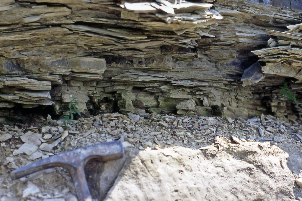 Delaware Limestone over Columbus Limestone (Middle Devonia… Flickr