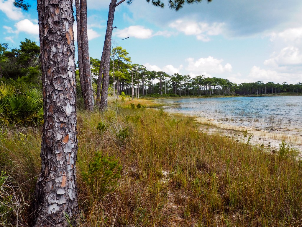 Back to Campbell Lake Ever since the park service … Flickr