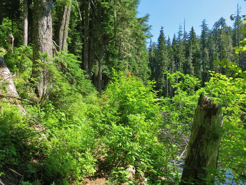 Baty Butte, Skookum Lake, and Thunder Mountain 7/26/2019