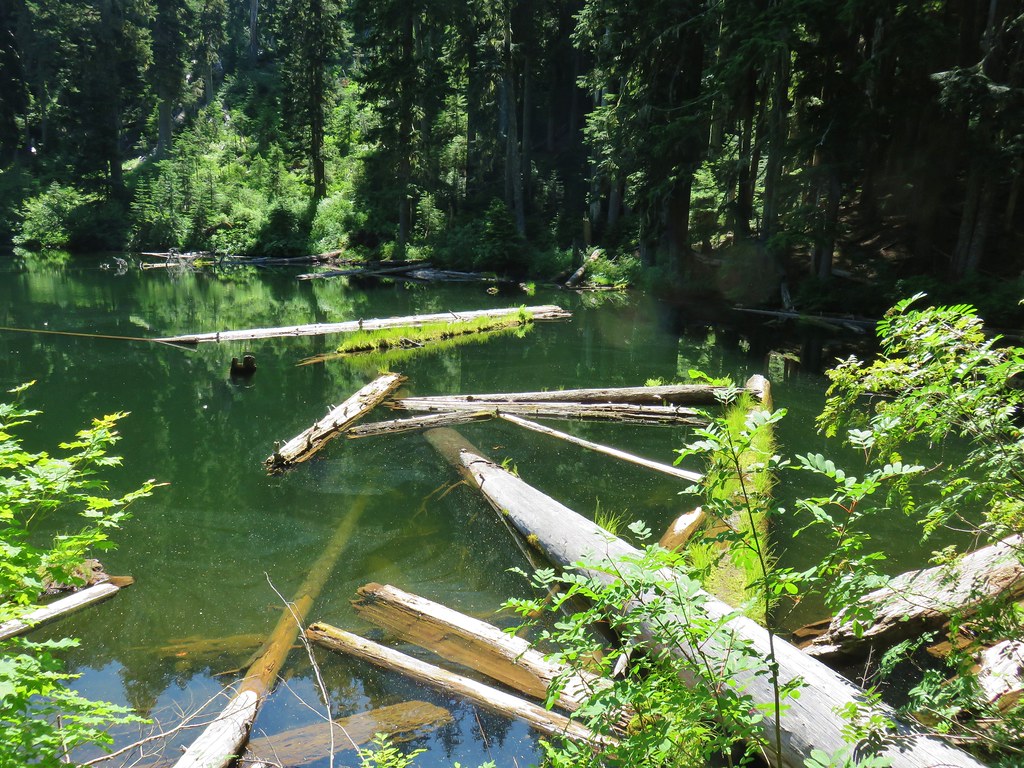 Baty Butte, Skookum Lake, and Thunder Mountain 7/26/2019