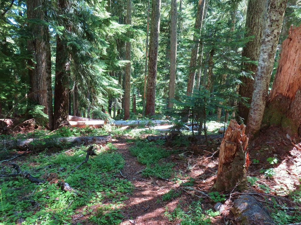 Baty Butte, Skookum Lake, and Thunder Mountain 7/26/2019