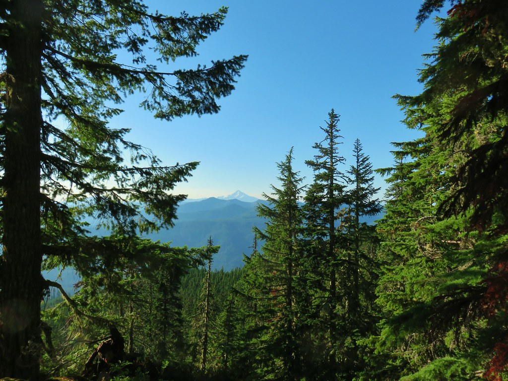 Baty Butte, Skookum Lake, and Thunder Mountain 7/26/2019