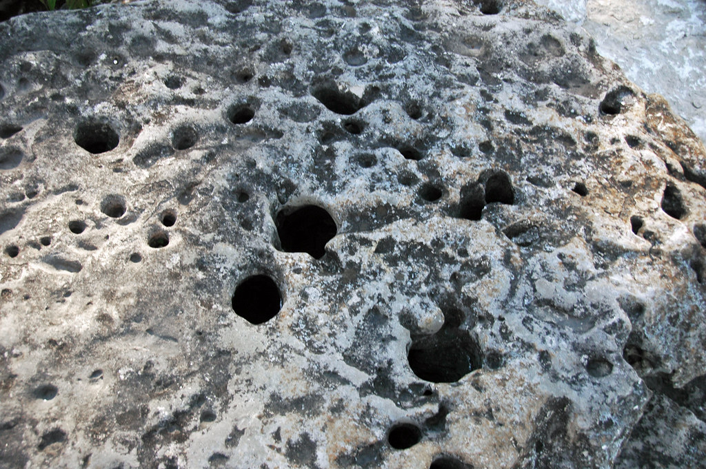 Potholes in limestone (Columbus Limestone, Middle Devonian… Flickr