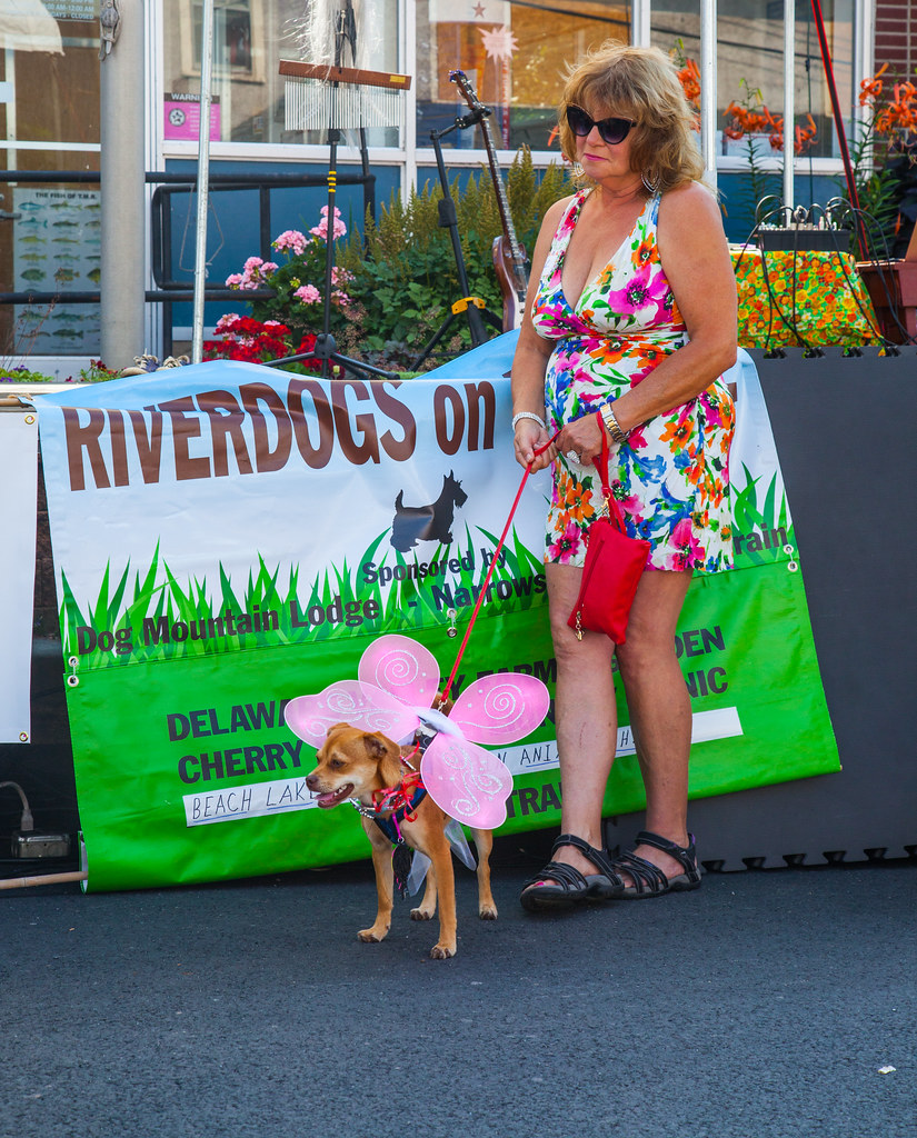 Winged Riverdog One of the participants in Riverdogs on Pa… Flickr