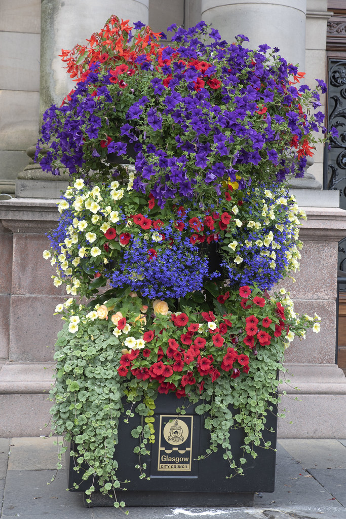Glasgow Flower Planter The city was filled with beautiful … Flickr