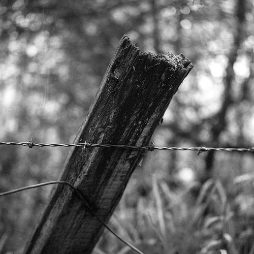 Johnny Bells Lonnen, Mamiya C220 with 80mm f3.7 lens, Tmax… Flickr