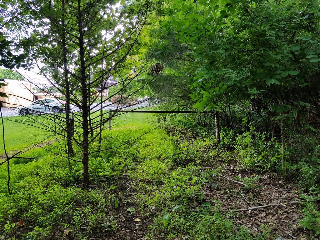 old road to Happy Land Lake Lynchburg, Virginia Kipp Teague Flickr