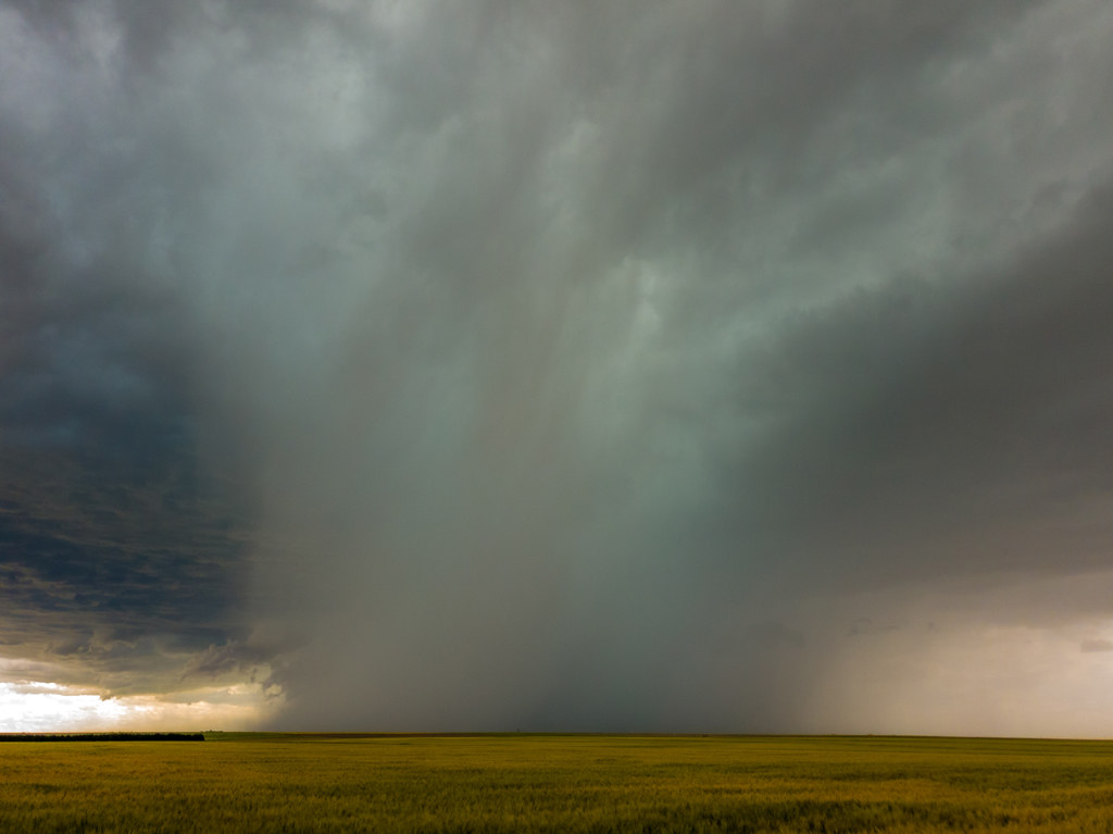 23 June 2019 Ulysses to Sharon Springs, KS Flickr