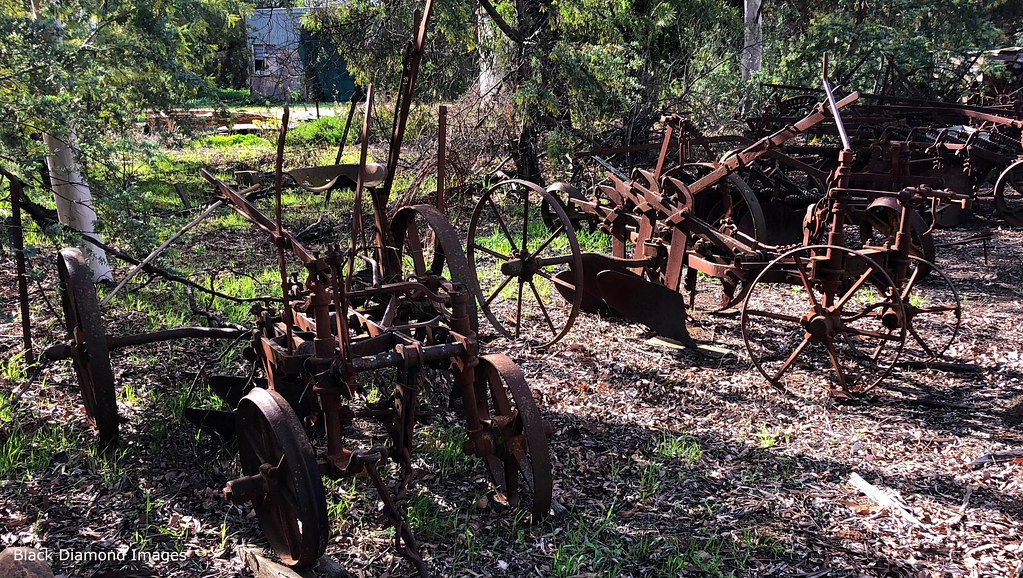 Historic Farm Machinery, Museum, Darlington Point, South W… Flickr