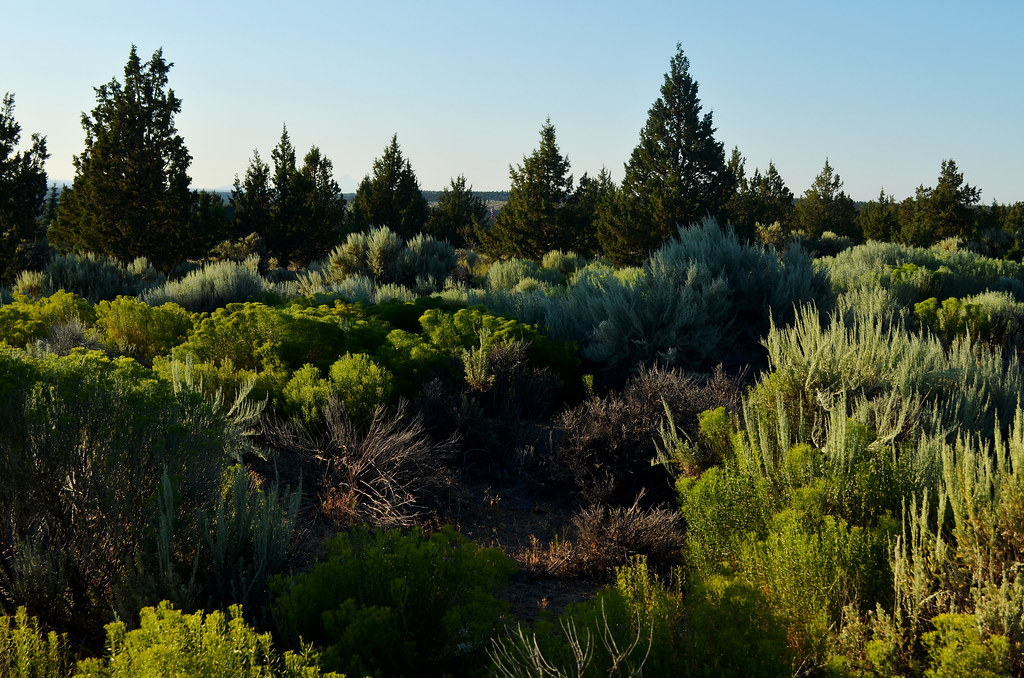 DSC_0030A_Terrebonne Terrebonne, Oregon Brian Libby Flickr