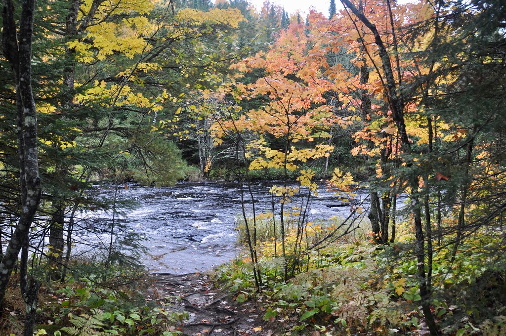 Sturgeon River View View of the Sturgeon River from the pa… Flickr