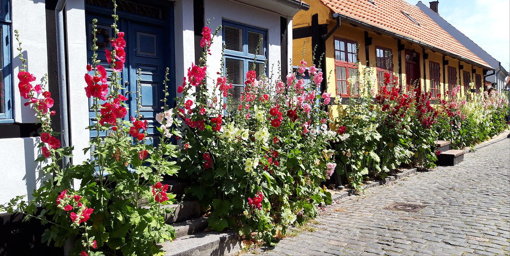 Ville de Rønne (Bornholm) Principale ville de Bornholm, Rø… Flickr