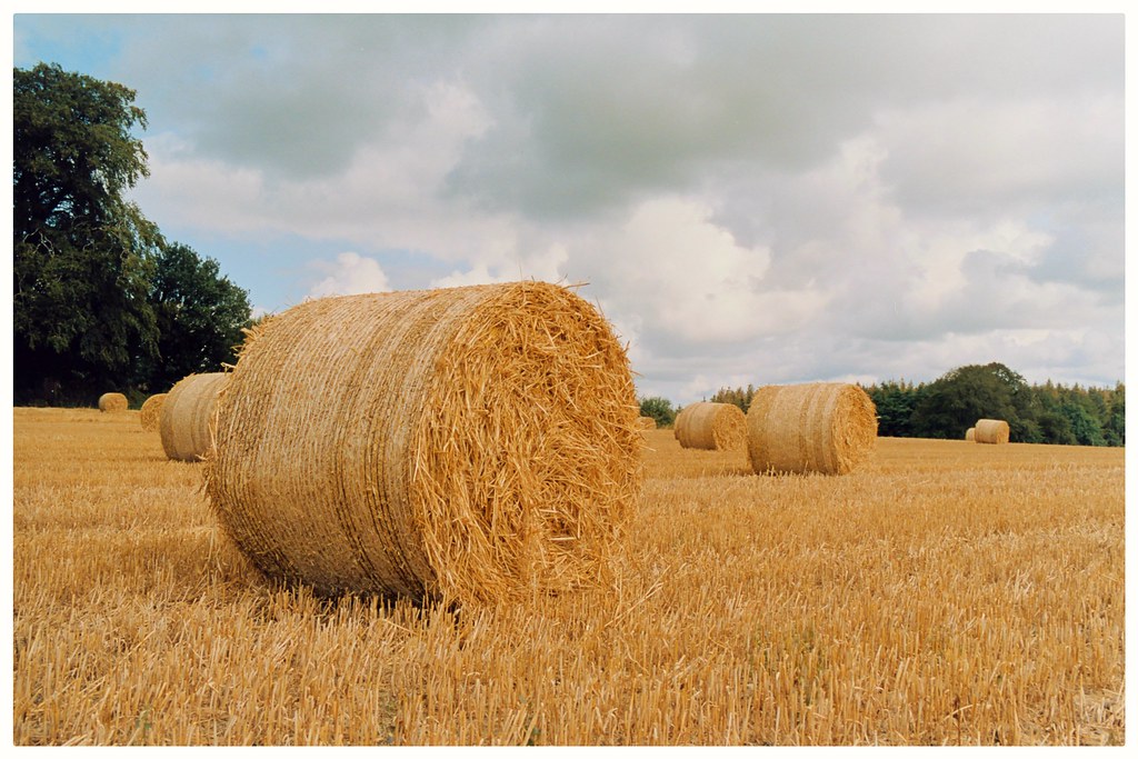 Summer Straw Bales in County Galway Daniel Waters Flickr