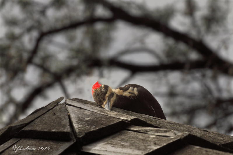 Real Estate Private Equity Firms Nyc