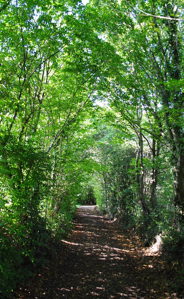 La Reid 190803 120 Mooi schaduwrijk weggetje in de omgevin… Flickr