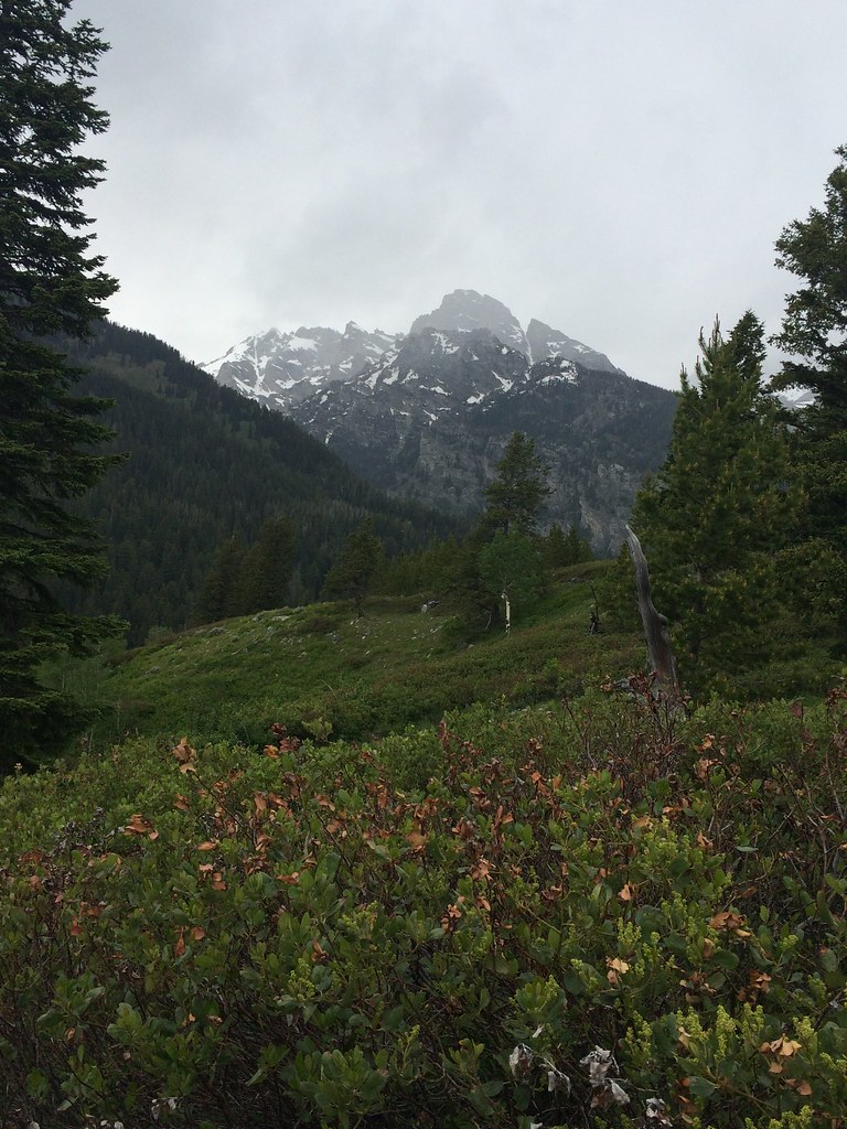 Taggart Lake Trail Patricia McKane Flickr