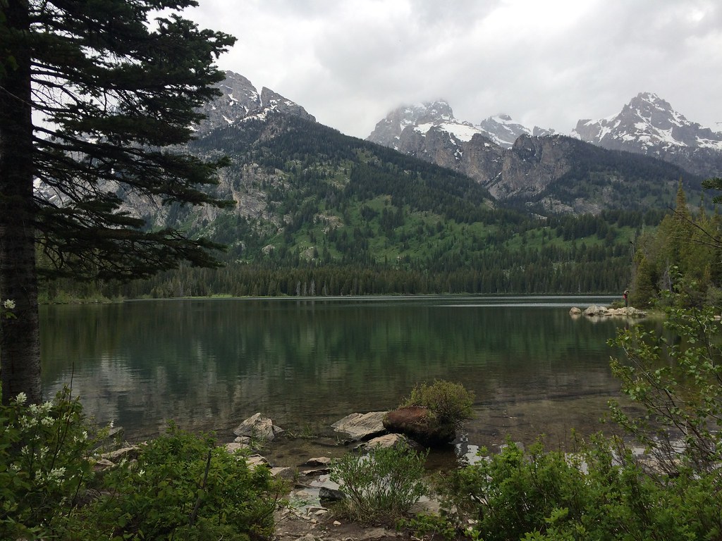 Taggart Lake Trail Patricia McKane Flickr