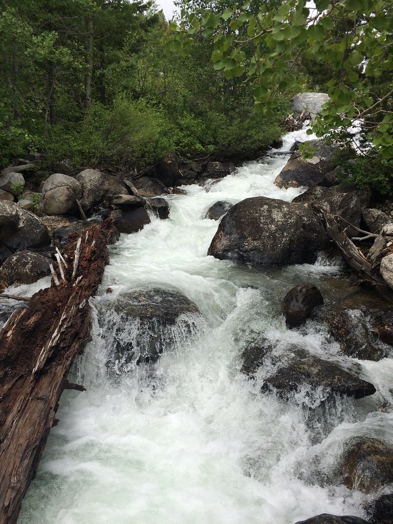 Taggart Lake Trail Patricia McKane Flickr