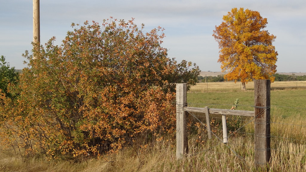 Fort Shaw Historic District, Fort Shaw, MT (7) **Fort Shaw… Flickr