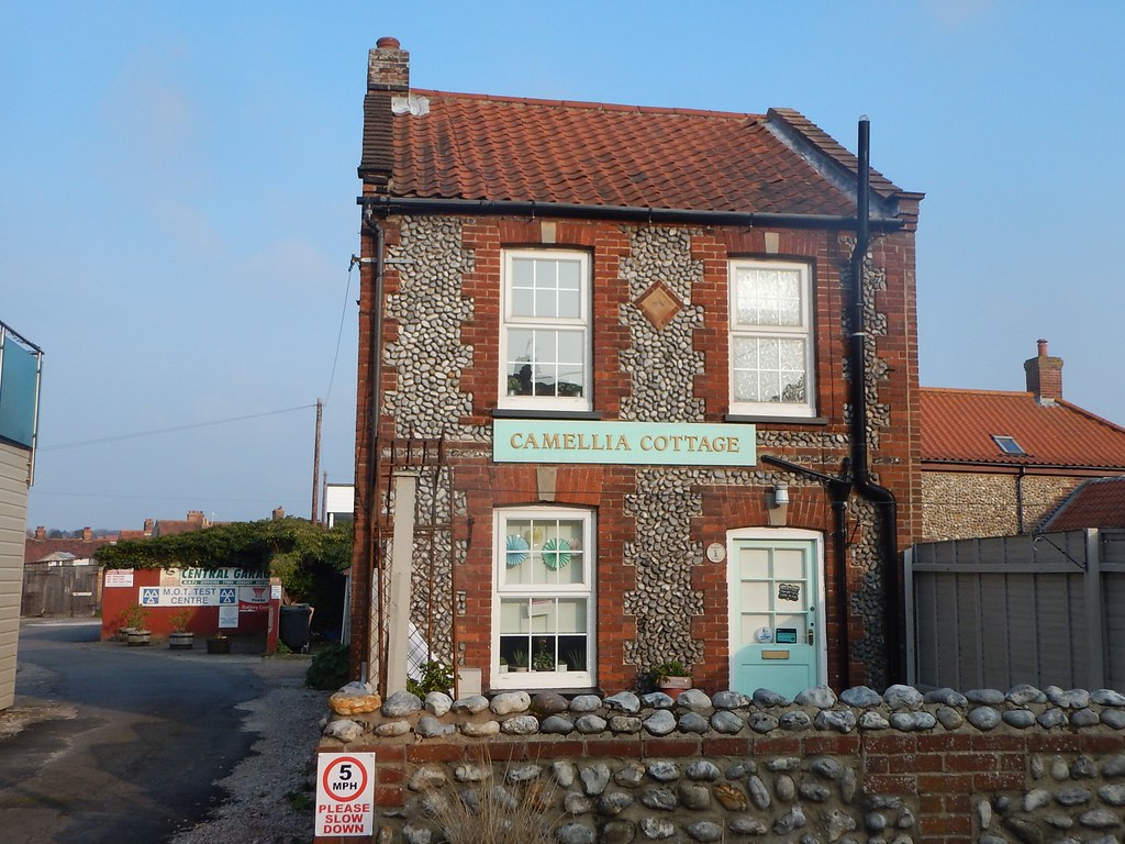 Camellia Cottage Douglas Law Flickr