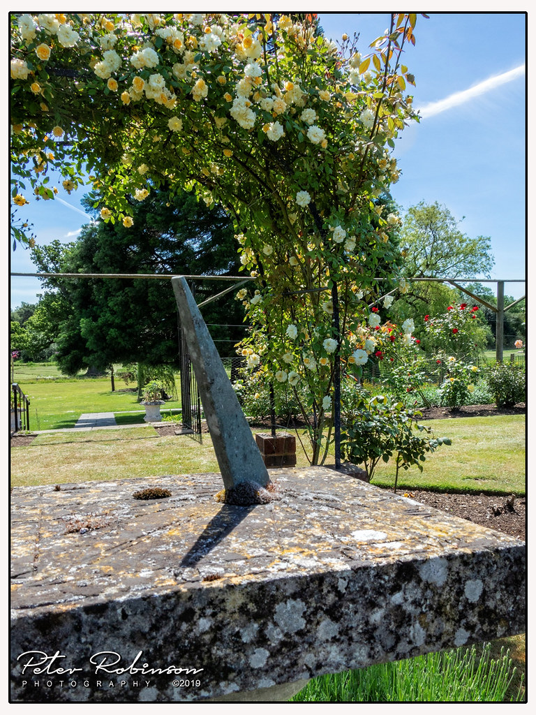 003 0097 (Copy)c Sculpture at Birtley House Antirrhinum Flickr
