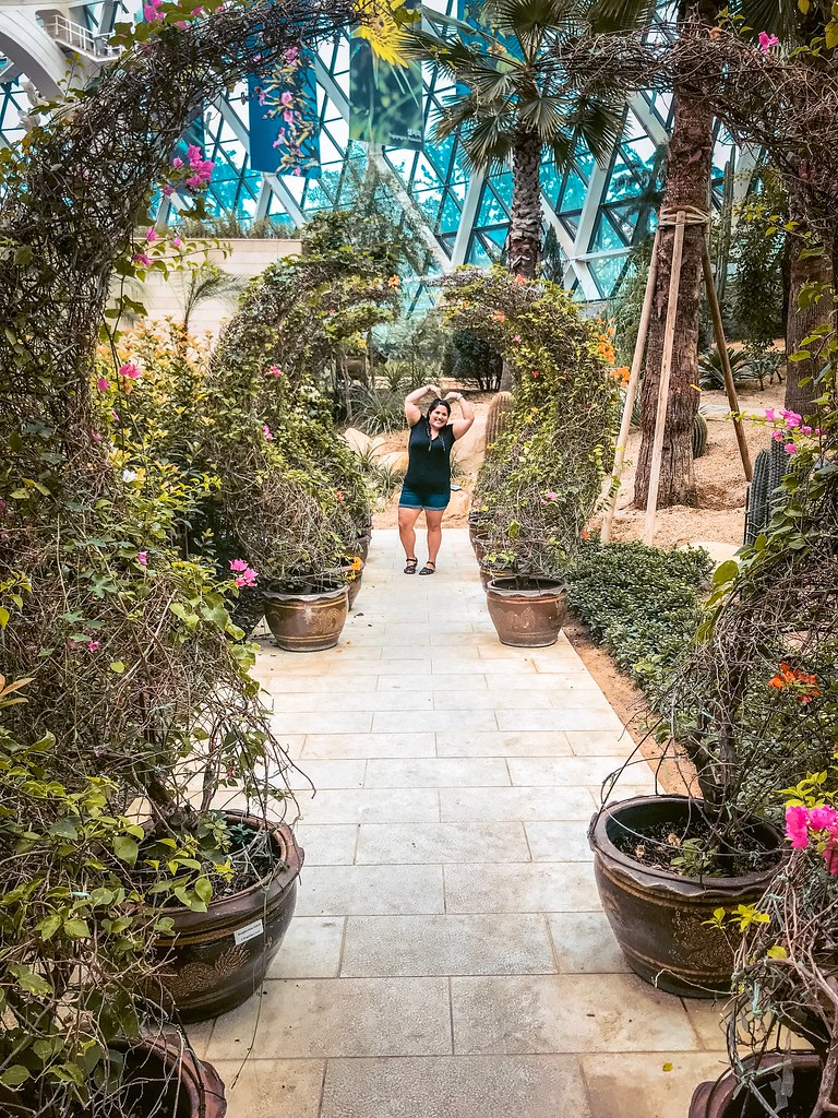 Seoul Gardens and Parks You Must Visit! Adventures With NieNie