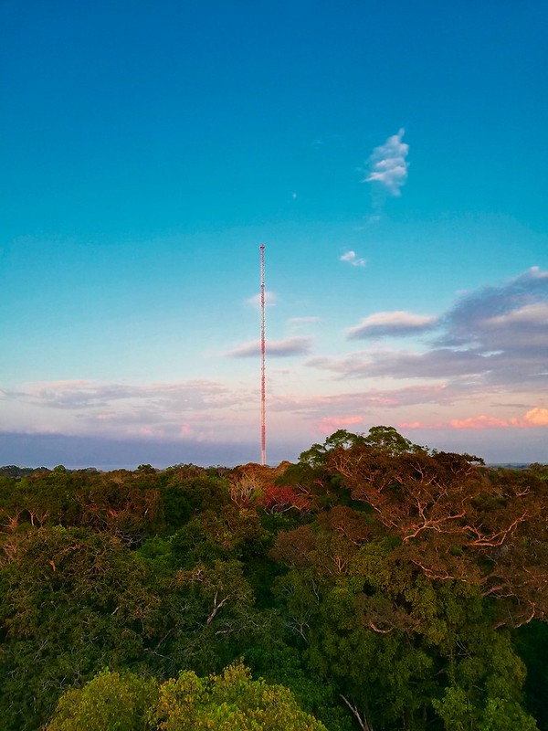 Gallery ATTO Amazon Tall Tower Observatory